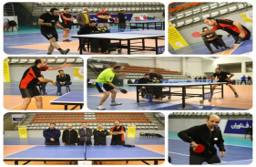 13th Men's Table Tennis Tournament Held in Pardis Technology Park